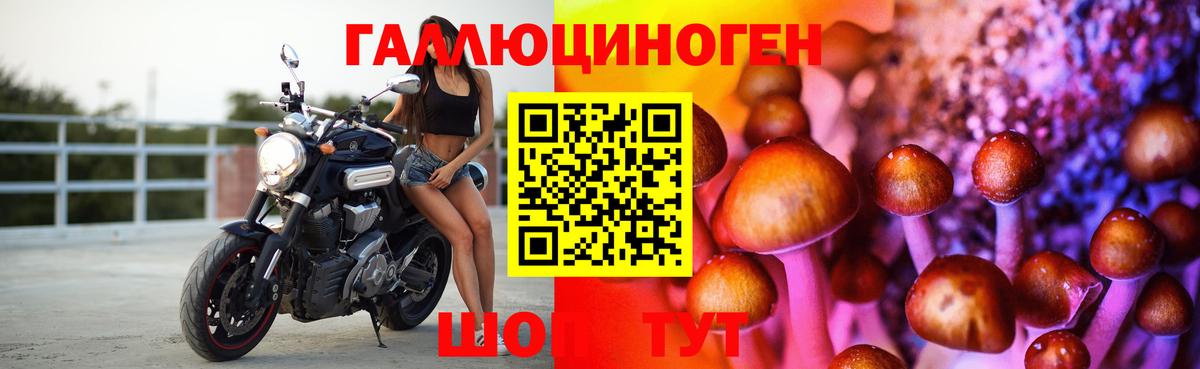 Гагарин  Галлюциногенные грибы мицелий  Вход с VPN 